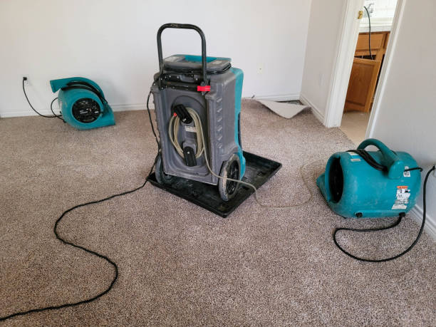 Best Mold removal after water damage  in Barclay, NJ