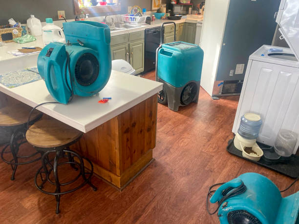 Best Ceiling water damage repair  in Barclay, NJ