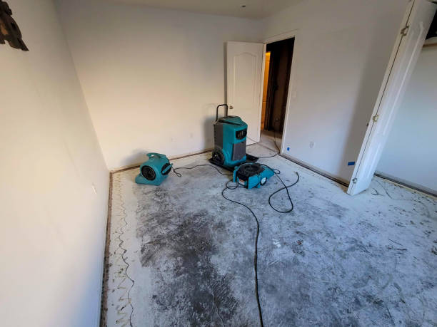 Best Residential water damage restoration  in Barclay, NJ
