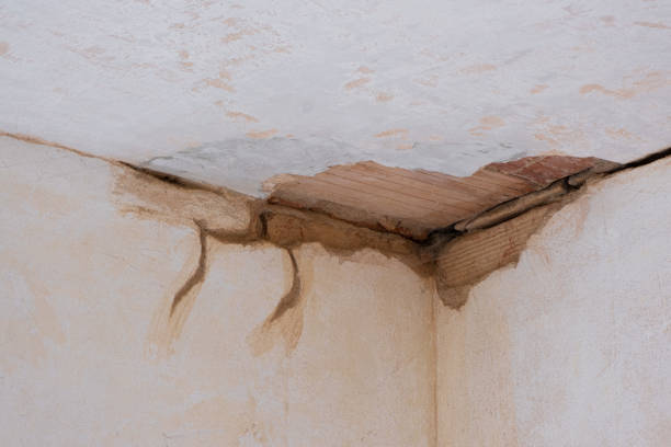 Water damage restoration mold remediation in Barclay, NJ