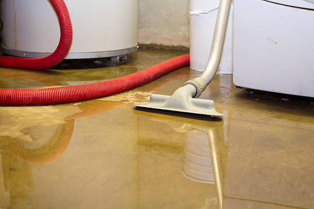 Best Water damage restoration process  in Barclay, NJ
