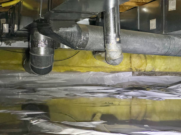 Best Water damage restoration experts  in Barclay, NJ