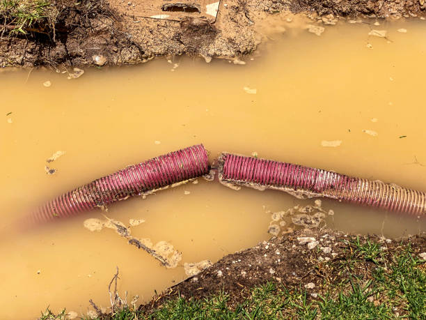 Best Carpet water damage restoration  in Barclay, NJ